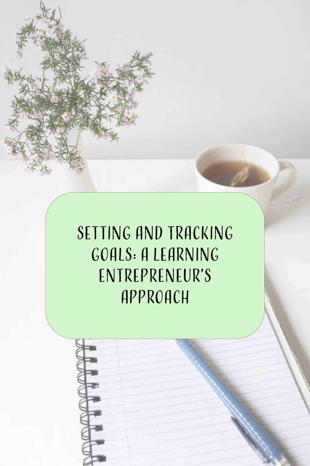 Setting and Tracking Goals: A Learning Entrepreneur’s Approach